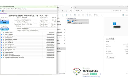 Computer screen displaying Samsung SSD 970 EVO Plus 1TB information with Thinkpadmike branding.