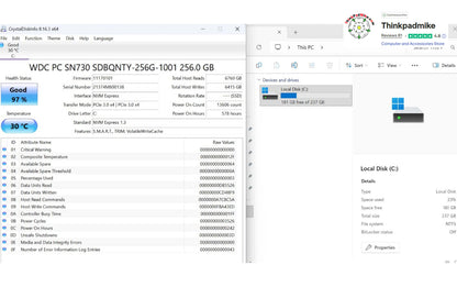 Lenovo ThinkPad P14s AMD Ryzen 7 Pro 8 Core 32GB RAM 256GB SSD IPS Screen (1306)